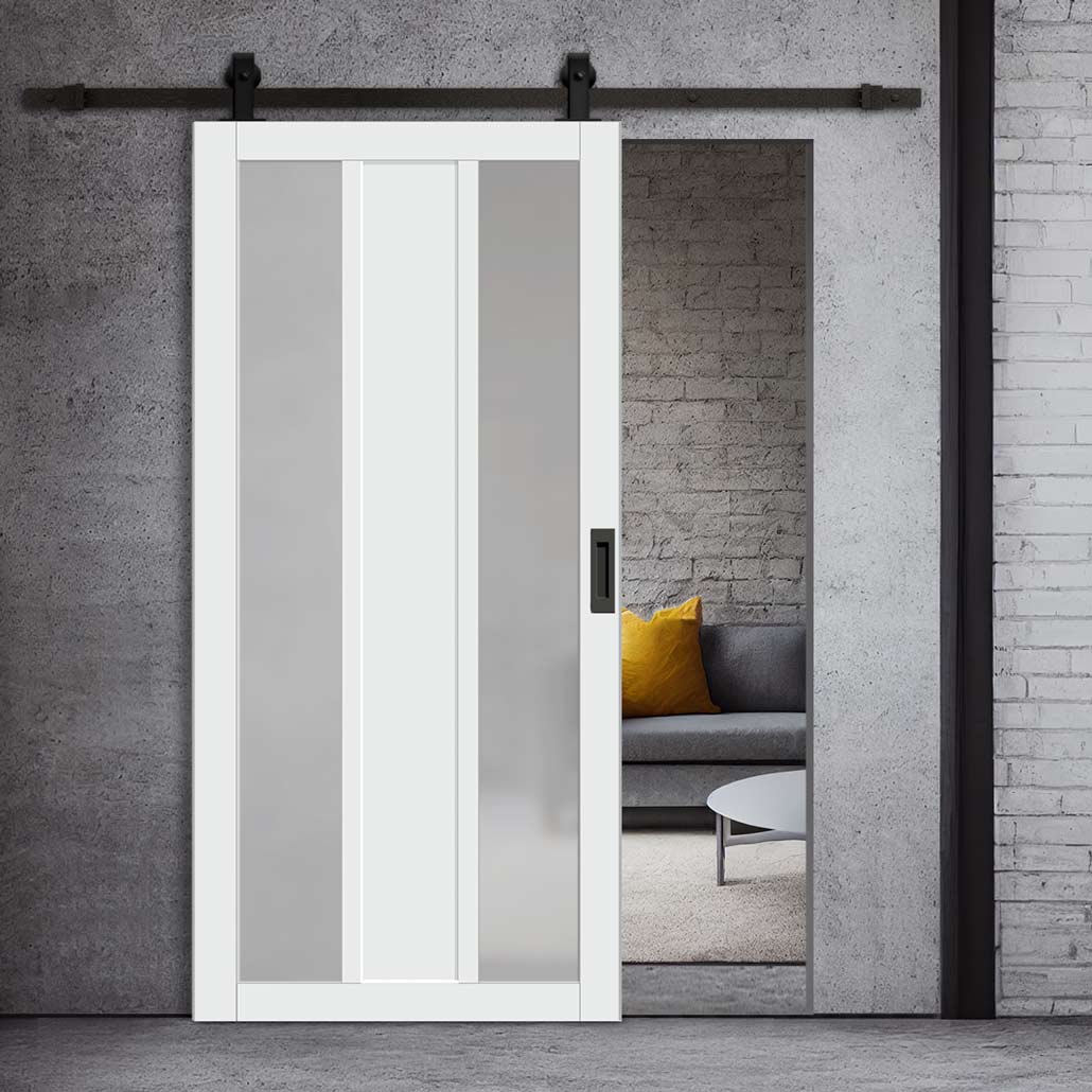 Barn Door Painted